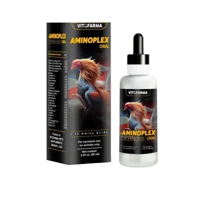 Amino Acids for Rooster – Aminoplex Oral