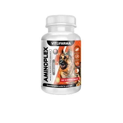 Amino Acid and Vitamins for Dog – Aminoplex Dog