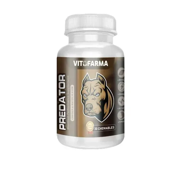 Muscle Building for Dogs – PREDATOR