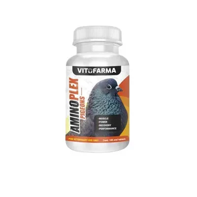 Amino Acid for Pigeon – Aminoplex Pigeon