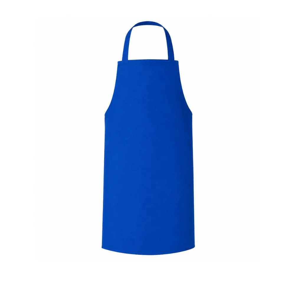 Mandil PVC azul